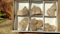 Natural Smokey Phantom Quartz Clusters x 6 From Luena, Congo