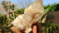 Natural Smokey Phantom Quartz Clusters x 6 From Luena, Congo