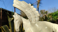 Polished White Marble Pegasus Carving x 1 From Zimbabwe