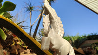 Polished White Marble Pegasus Carving x 1 From Zimbabwe