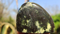 Polished Leopard stone Standing Free Forms  x 12 From Inyanga, Zimbabwe