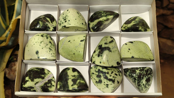 Polished Leopard stone Standing Free Forms  x 12 From Inyanga, Zimbabwe