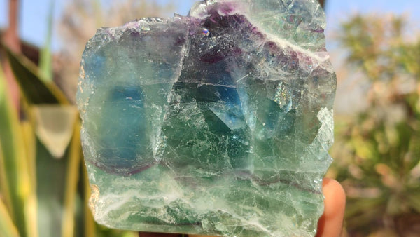 Polished One Side Polished Watermelon Fluorite Pieces  x 4 From Uis, Namibia