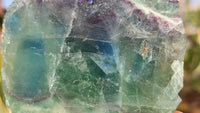 Polished One Side Polished Watermelon Fluorite Pieces  x 4 From Uis, Namibia