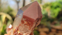 Natural Red Hematoid Quartz Specimens x 24 From Karoi, Zimbabwe