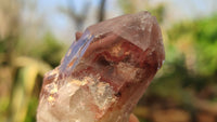 Natural Red Hematoid Quartz Specimens x 24 From Karoi, Zimbabwe