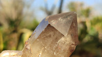 Natural Red Hematoid Quartz Specimens x 24 From Karoi, Zimbabwe