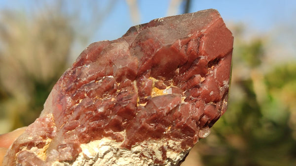 Natural Red Hematoid Quartz Specimens x 24 From Karoi, Zimbabwe