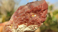 Natural Red Hematoid Quartz Specimens x 24 From Karoi, Zimbabwe