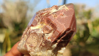 Natural Red Hematoid Quartz Specimens x 24 From Karoi, Zimbabwe