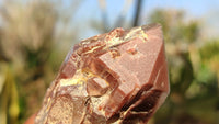 Natural Red Hematoid Quartz Specimens x 24 From Karoi, Zimbabwe