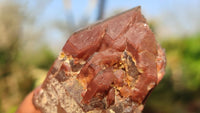 Natural Red Hematoid Quartz Specimens x 24 From Karoi, Zimbabwe