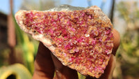 Natural Pink Salrose Cobaltion Dolomite Specimens  x 12 From Kakanda, Congo