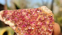 Natural Pink Salrose Cobaltion Dolomite Specimens  x 12 From Kakanda, Congo