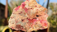 Natural Pink Salrose Cobaltion Dolomite Specimens  x 12 From Kakanda, Congo