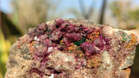 Natural Pink Salrose Cobaltion Dolomite Specimens  x 12 From Kakanda, Congo