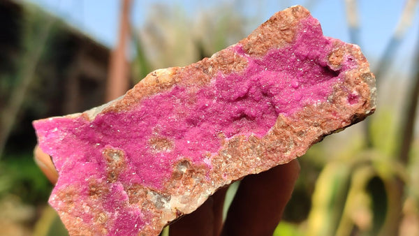 Natural Pink Salrose Cobaltion Dolomite Specimens  x 12 From Kakanda, Congo