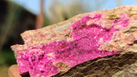 Natural Pink Salrose Cobaltion Dolomite Specimens  x 12 From Kakanda, Congo