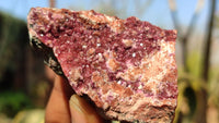 Natural Pink Salrose Cobaltion Dolomite Specimens  x 12 From Kakanda, Congo