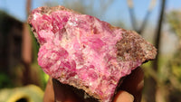 Natural Pink Salrose Cobaltion Dolomite Specimens  x 12 From Kakanda, Congo