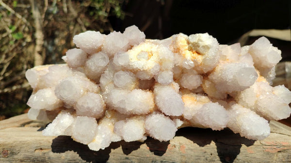 Natural Large Intact Spirit Quartz Cluster x 1 From Southern Africa