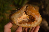 Polished Carnelian Agate Nodules  x 2 From Madagascar