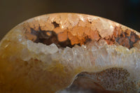 Polished Carnelian Agate Nodules  x 2 From Madagascar