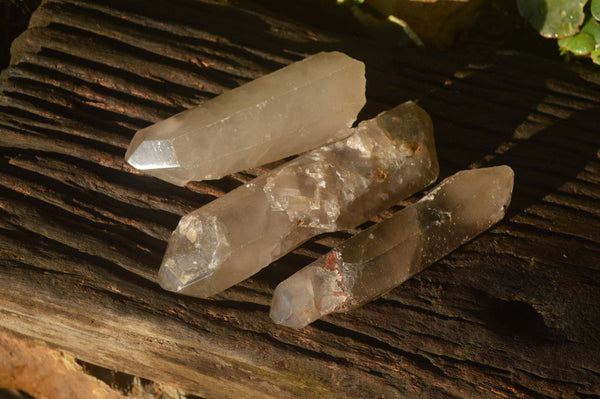 Polished Large Smokey Quartz Crystals  x 3 From Namibia