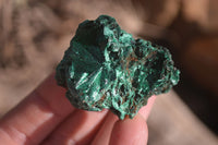 Natural Small Chatoyant Silky Malachite Specimens  x 35 From Congo