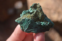 Natural Small Chatoyant Silky Malachite Specimens  x 35 From Congo