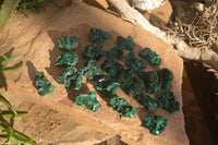 Natural Small Chatoyant Silky Malachite Specimens  x 35 From Congo