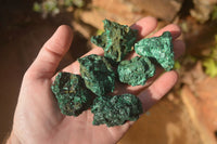 Natural Small Chatoyant Silky Malachite Specimens  x 35 From Congo