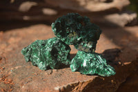 Natural Small Chatoyant Silky Malachite Specimens  x 35 From Congo