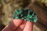 Natural Small Chatoyant Silky Malachite Specimens  x 35 From Congo