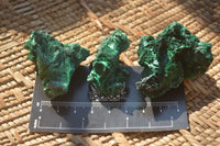 Natural Small Chatoyant Silky Malachite Specimens  x 35 From Congo