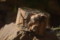 Polished Petrified Wood Branch Pieces x 4 From Gokwe, Zimbabwe