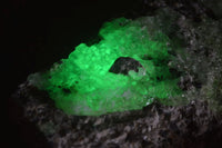 Natural Fluorescent Hyalite Opal Specimen  x 1 From Erongo, Namibia