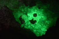 Natural Fluorescent Hyalite Opal Specimen  x 1 From Erongo, Namibia