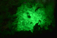 Natural Fluorescent Hyalite Opal Specimen  x 1 From Erongo, Namibia