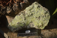 Natural Fluorescent Hyalite Opal Specimen  x 1 From Erongo, Namibia