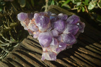 Natural Deep Purple Amethyst Clusters x 2 From Mapatizya, Zambia