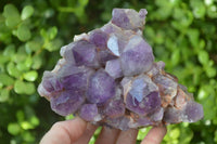 Natural Deep Purple Amethyst Clusters x 2 From Mapatizya, Zambia