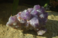 Natural Deep Purple Amethyst Clusters x 2 From Mapatizya, Zambia