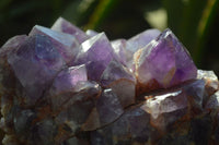 Natural Deep Purple Amethyst Clusters x 2 From Mapatizya, Zambia