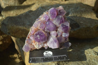 Natural Deep Purple Amethyst Clusters x 2 From Mapatizya, Zambia