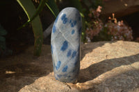 Polished Blue Spotted Spinel Quartz Standing Free Forms x 2 From Madagascar