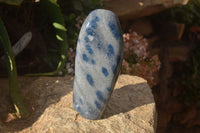 Polished Blue Spotted Spinel Quartz Standing Free Forms x 2 From Madagascar