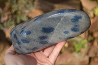 Polished Blue Spotted Spinel Quartz Standing Free Forms x 2 From Madagascar