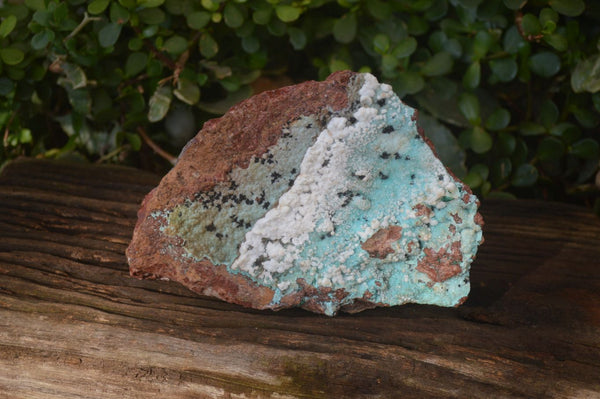 Natural Drusy Chrysocolla Dolomite Specimen x 1 From Likasi, Congo