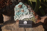 Natural Drusy Chrysocolla Dolomite Specimen x 1 From Likasi, Congo